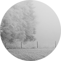nebel